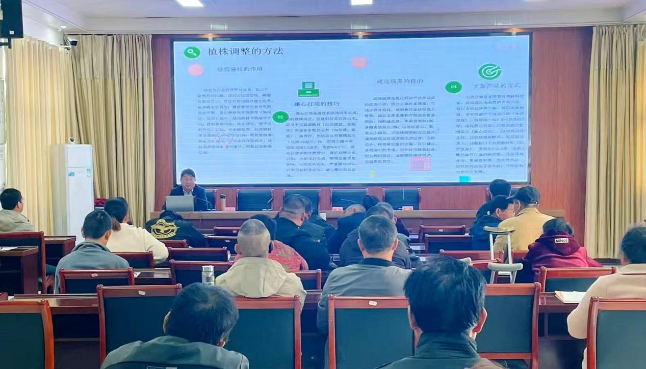 洋马镇残疾人种植技术培训班圆满落幕